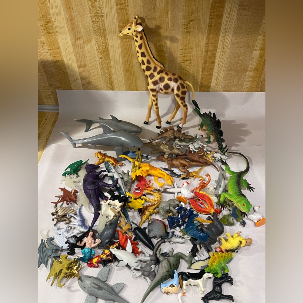 Big lot animals safari and more